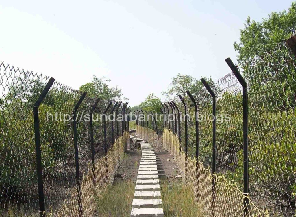 Sundarban National Park