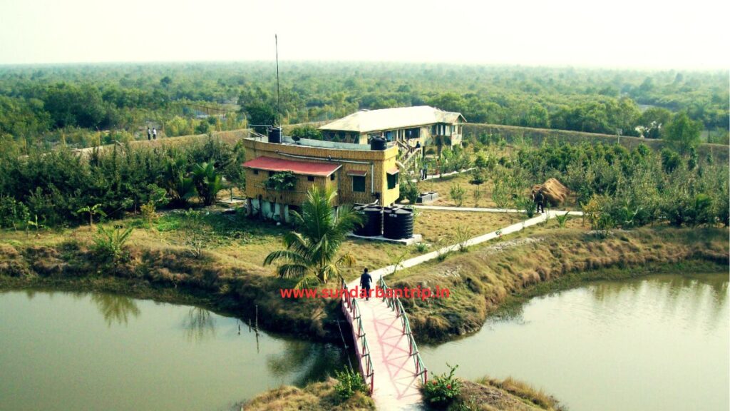 sundarban bonnie camp