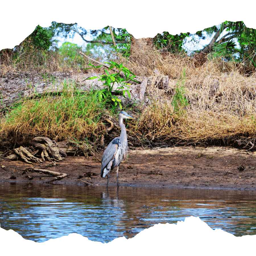 sundarban migrant view trip