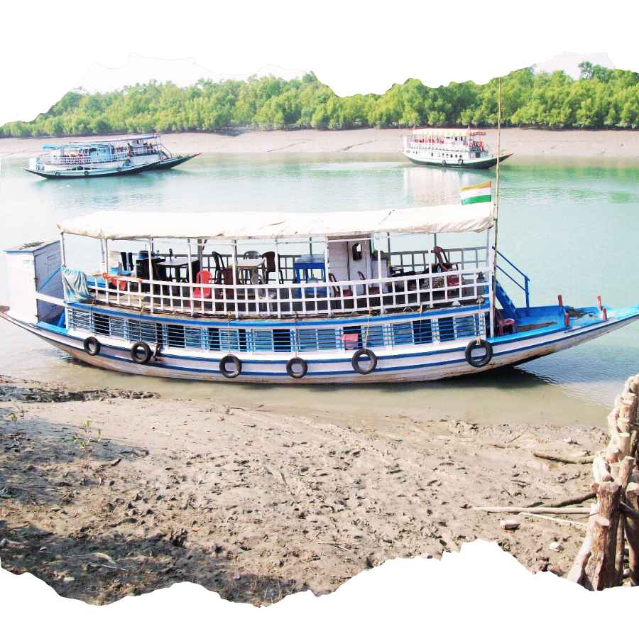 tourist boat safari during Sundarban wildlife tour