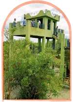 wildlife spotting from sudhanyakhali watchtower safari tour