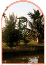 sundarban-tour-package-from-kolkata