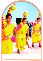 cultural program during sundarban package