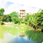 sajnekhali watch tower visit