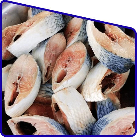 Affordable Hilsa Festival Trip package