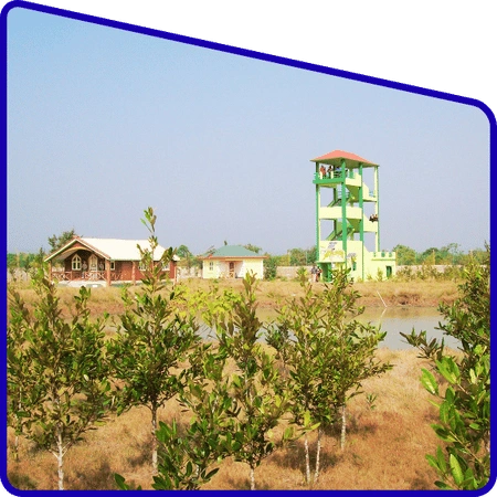 Bonnie Camp watchtower in Sundarban Adventure Tour
