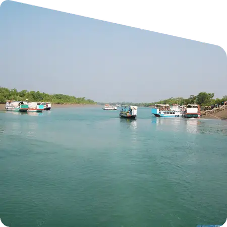 calm river water in Sundarban forest