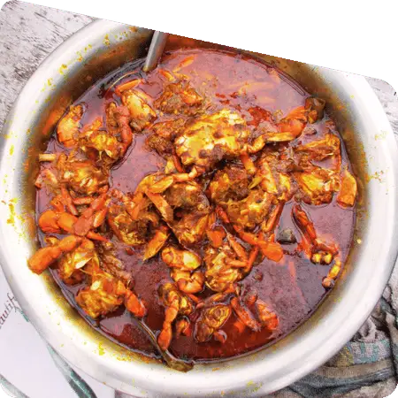 red crab in Sundarban mangrove forest