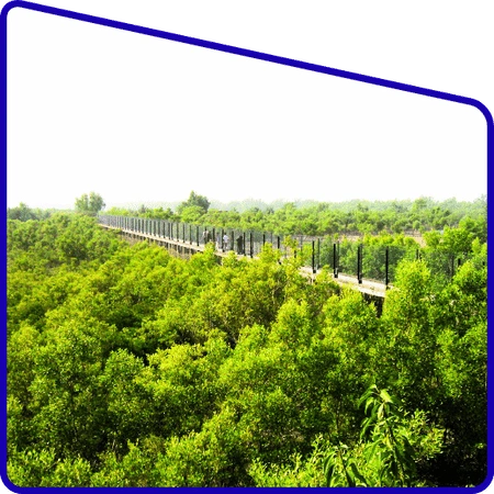 Dobanki canopy walk during Sundarban Adventure Special Tour