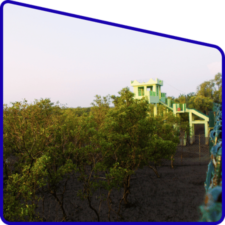 Eco tourism in Sundarban Adventure Tour