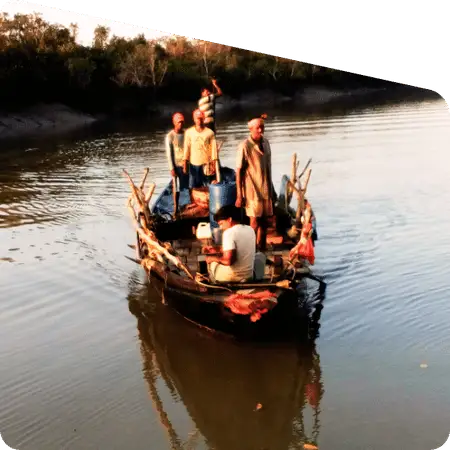fishermen working in Sundarban rivers