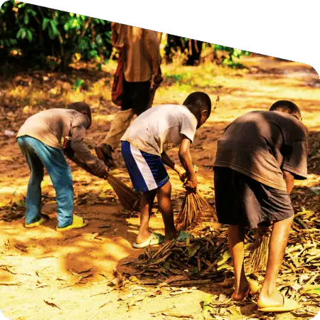 honey collector in Sundarban forest area