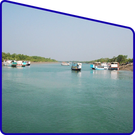 Sundarban mangrove ecosystem biodiversity tour