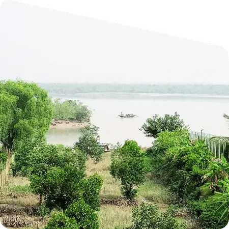 narrow creek inside Sundarban mangrove forest