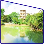 sajnekhali tiger reserve sundarban wildlife tour