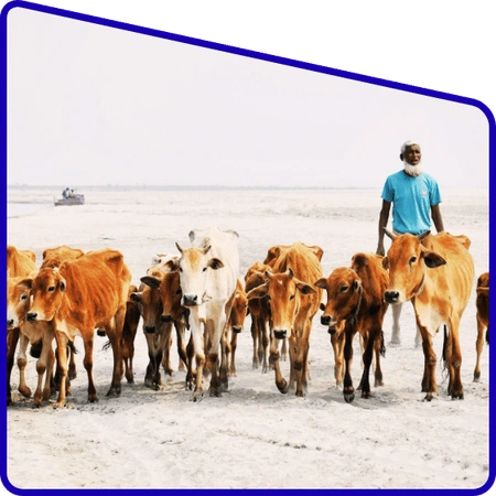 Students studying agriculture practices in Sundarban