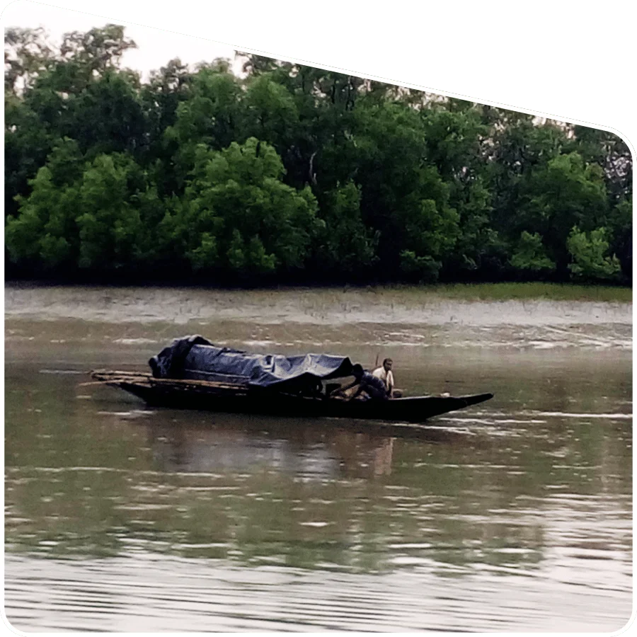 Sundarban narrow creek boat journey