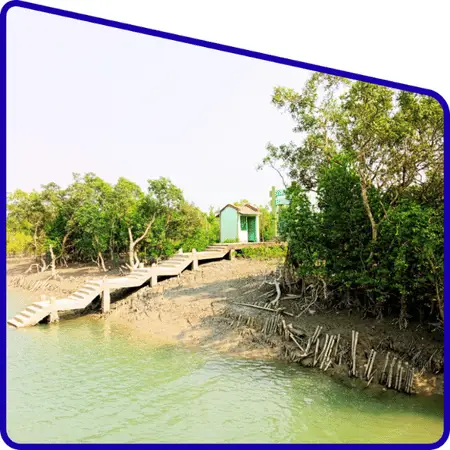 customised Sundarban one day tour plan