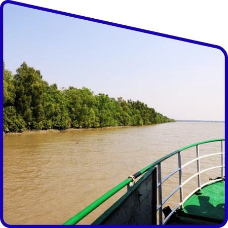 Students learning ecological balance in Sundarban