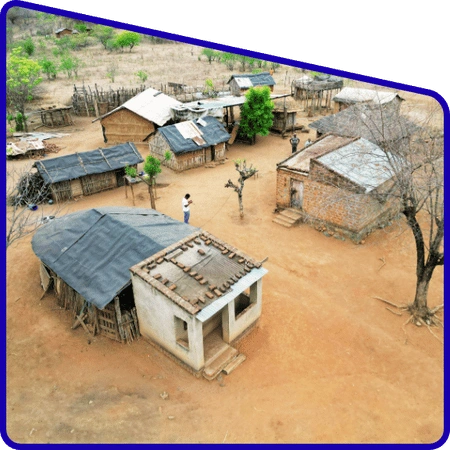 Students studying ecosystem and biodiversity in Sundarban