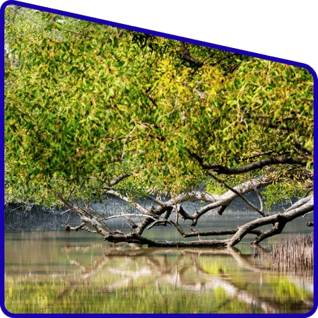 Students attending environmental awareness session