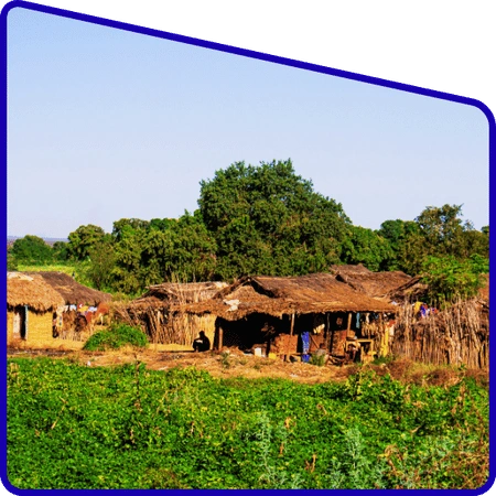 Students involved in research activity in Sundarban