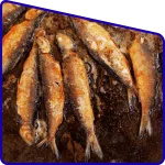 Assorted fish fry served in Sundarban adventure tour