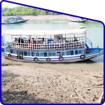 sundarban mangrove forest boat safari tour experience