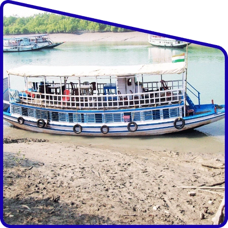 Jungle stay experience in Sundarban Adventure Tour