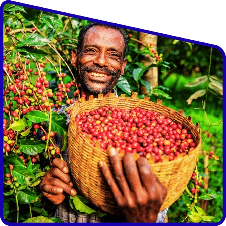 Students visiting local market in Sundarban village
