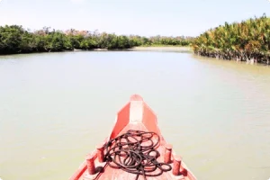 Natural beauty Sundarban