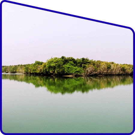 Students studying nature and environment in Sundarban