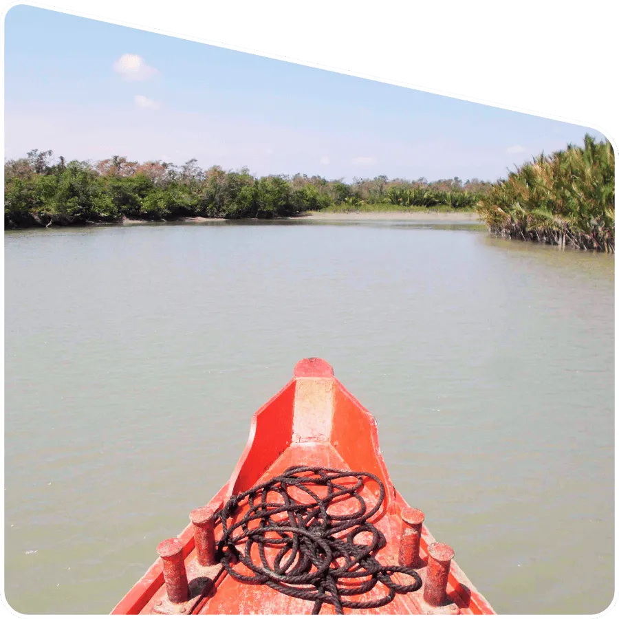 Sundarban one day tour boat safari in mangrove river