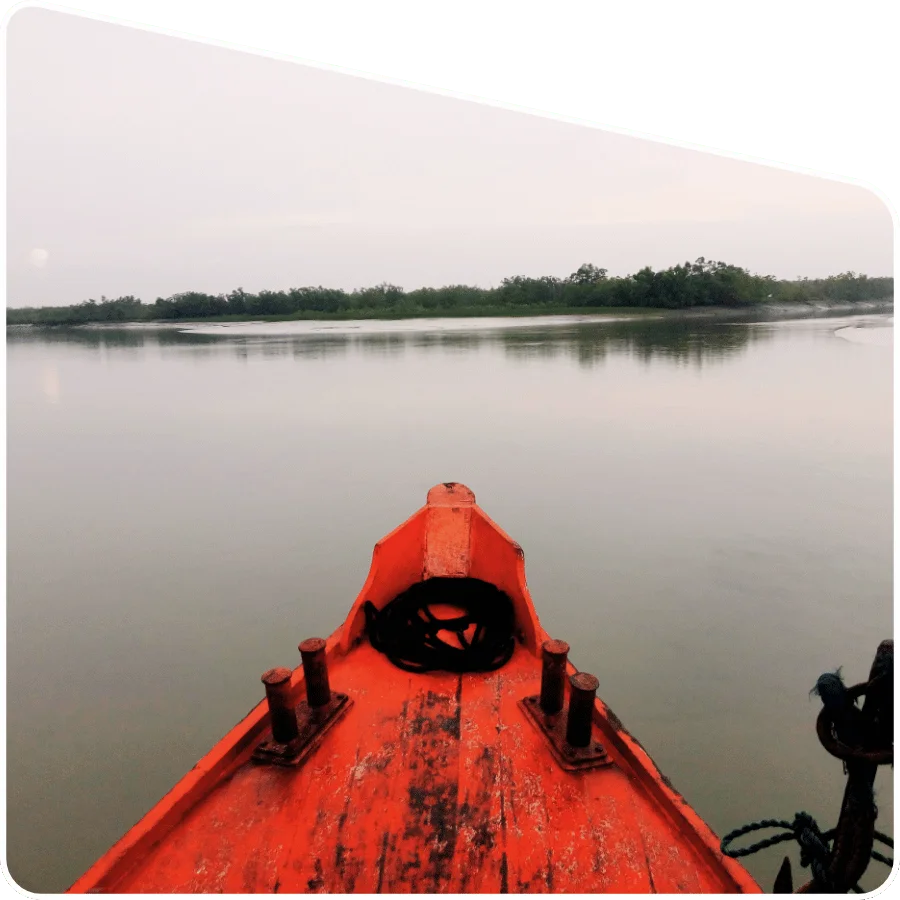 Sundarban river cruise travel experience