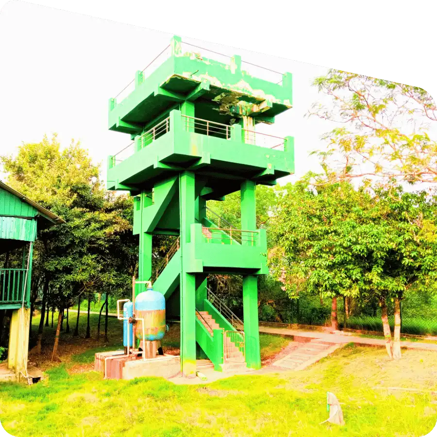 Sajnekhali watchtower Sundarban tour