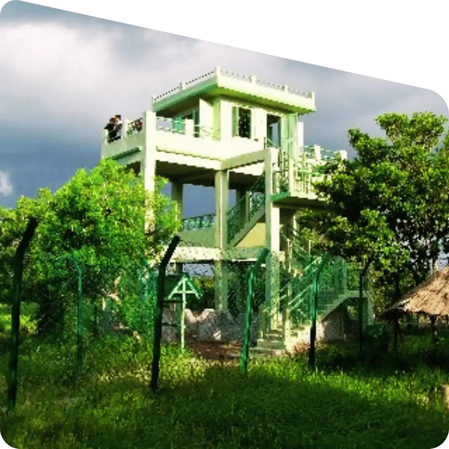 Sudhanyakhali watchtower wildlife area