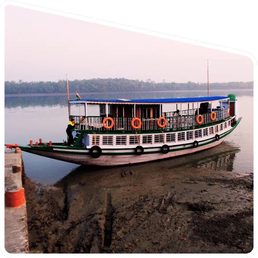 Sundarban boat safari through mangrove forest
