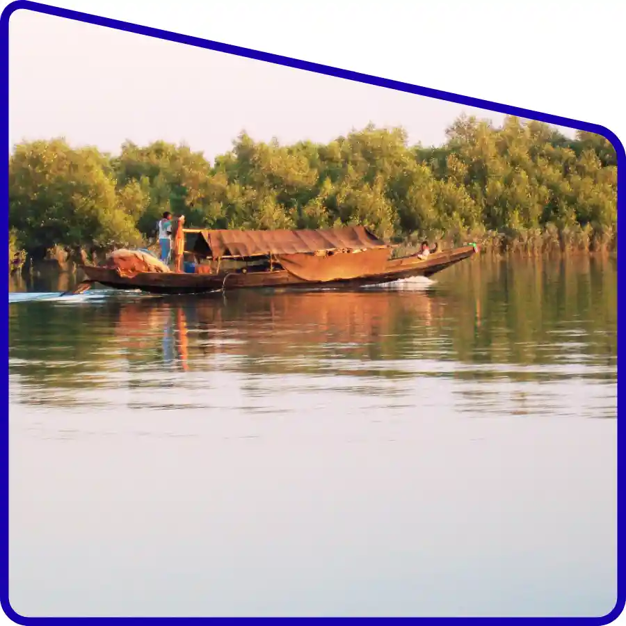 tourists enjoying Sundarban Mangrove Travels tour experience
