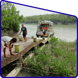 Island view in Sundarban