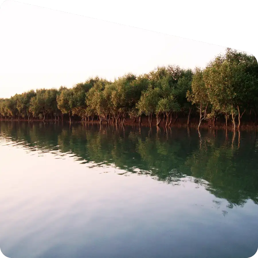 Sundarban package tour details full guide