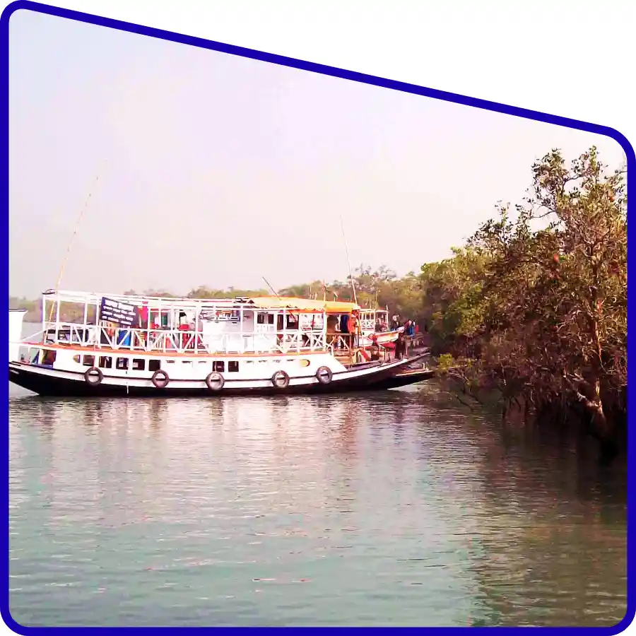 river journey in Sundarban Mangrove Travels tour