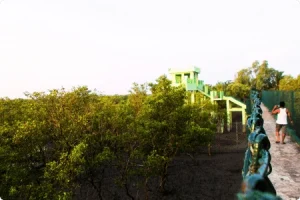 Sundarban tour package watch tower safari