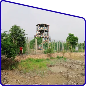 Watchtower view of Sundarban forest during tour
