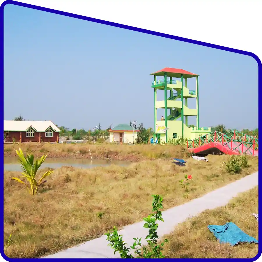 Sundarban watchtower visit during tour