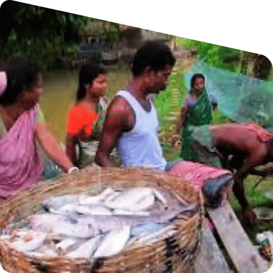 Sundarban village tour local culture experience
