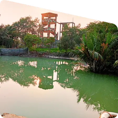 view from Sundarban watchtower wildlife area