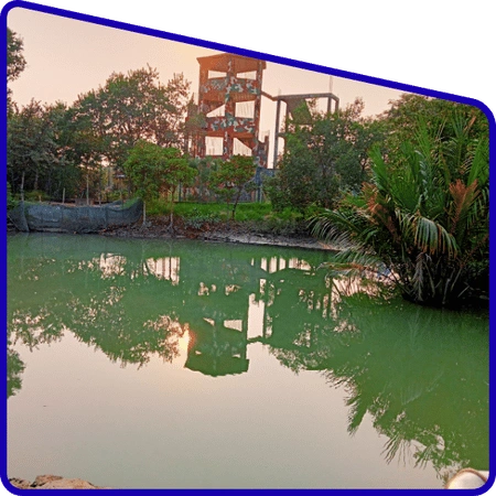 Sundarban watchtower view in core forest area