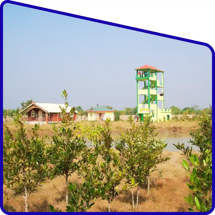 Students visiting watchtower for wildlife observation in Sundarban