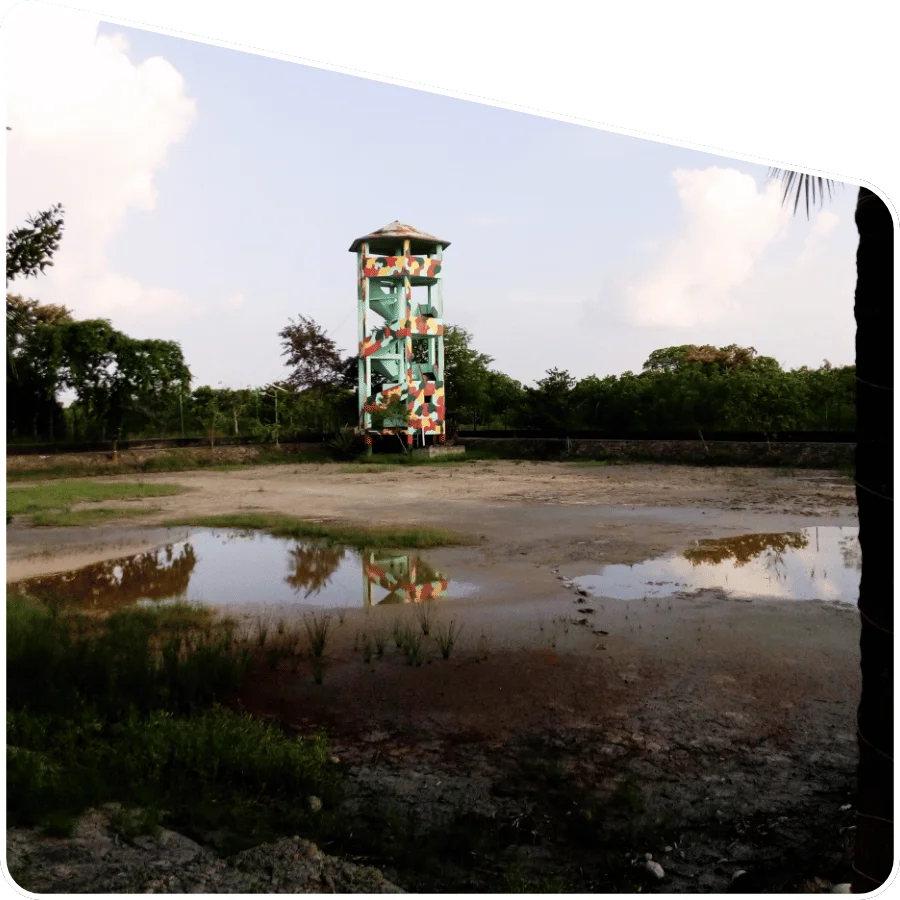 Sundarban watchtower view of forest and river
