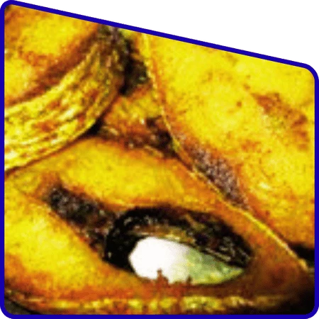 Best Hilsa Festival Tour in Sundarban